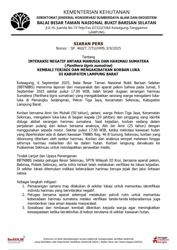 SIARAN PERS BBTNBBS INTERAKSI NEGATIF ANTARA MANUSIA DAN HARIMAU SUMATERA